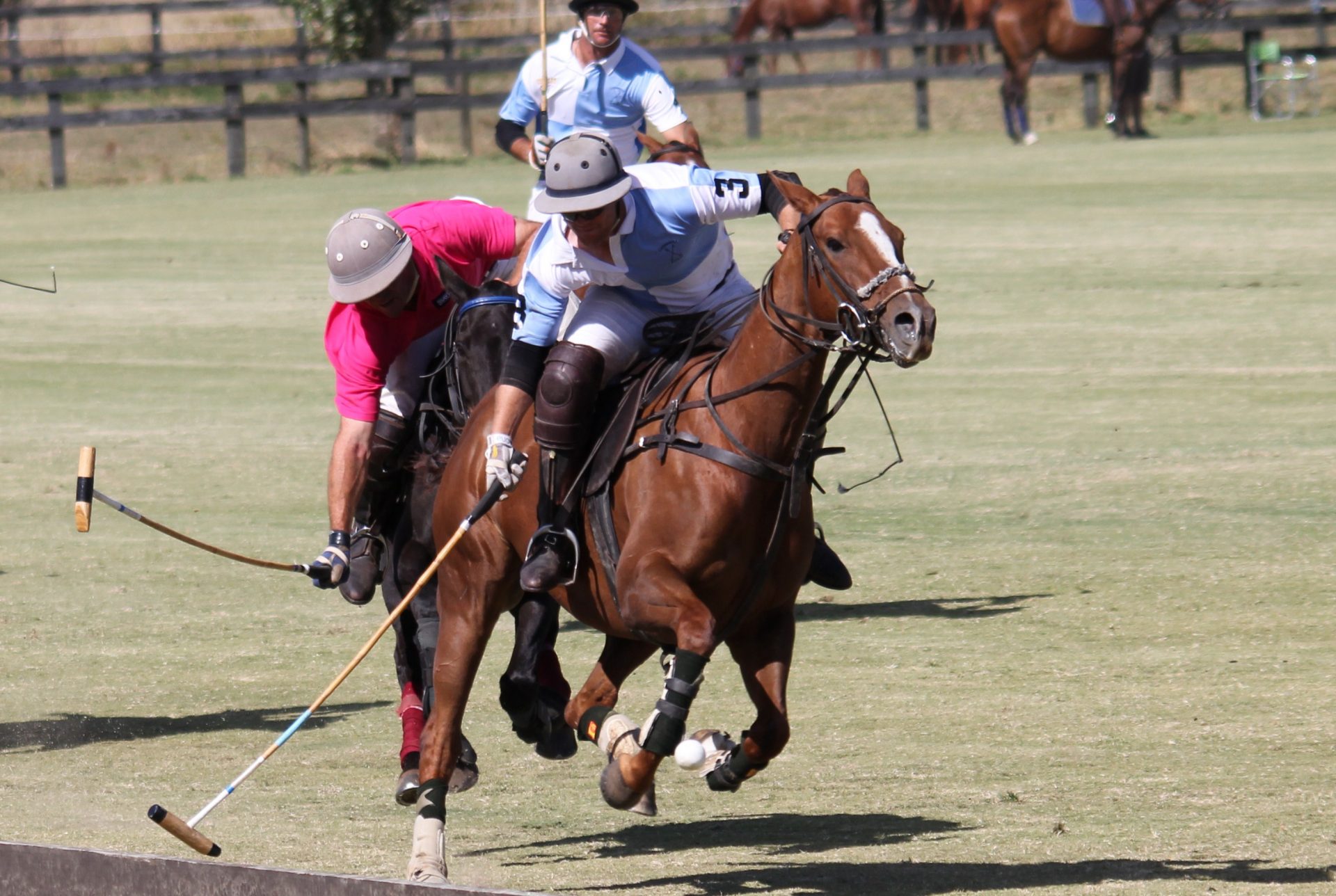 Polo Mallets Cordall